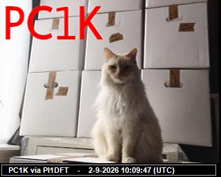 SSTV image from DB0PTB_2M