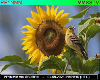 SSTV image from DB0PTB_2M