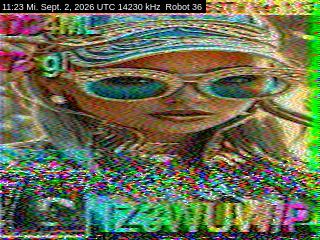 SSTV image from DC4ML_20M