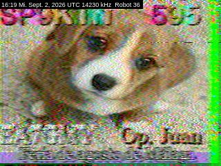 SSTV image from DC4ML_20M