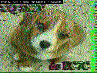 SSTV image from DC4ML_20M