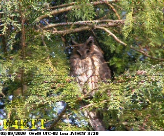 SSTV image from F4HKJ_20M