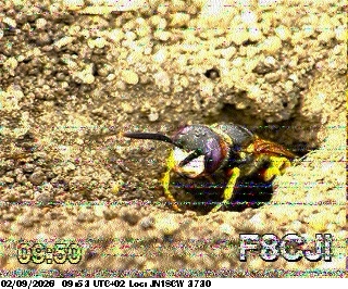 SSTV image from F4HKJ_20M