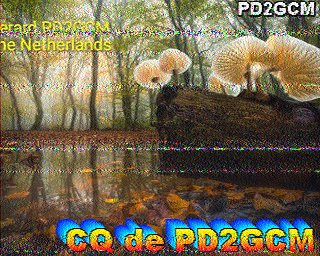 SSTV image from IU0FBK_20M