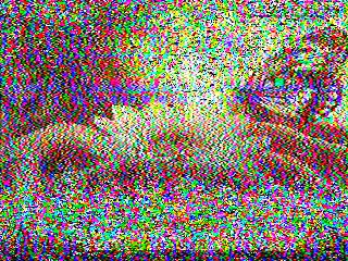 SSTV image from IU0FBK_20M