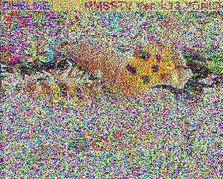 SSTV image from IU0FBK_20M