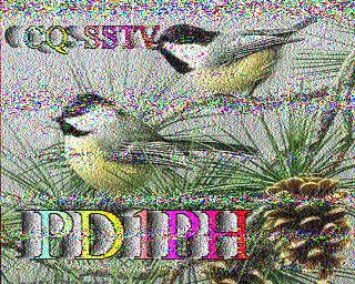 SSTV image from IU0FBK_20M