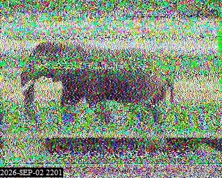 SSTV image from KO6KL_20M