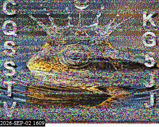SSTV image from KP4TR_20M