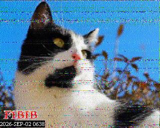 SSTV image from PA0041SWL_80M