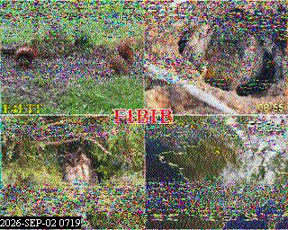 SSTV image from PA0041SWL_80M