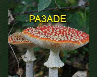 SSTV image from PA3ADE_2M