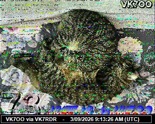 SSTV image from DB0PTB_2M