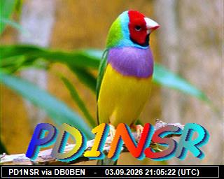 SSTV image from DB0PTB_2M