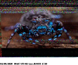 SSTV image from F4HKJ_20M