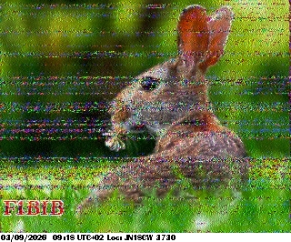 SSTV image from F4HKJ_20M