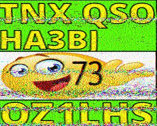 SSTV image from IU0FBK_20M