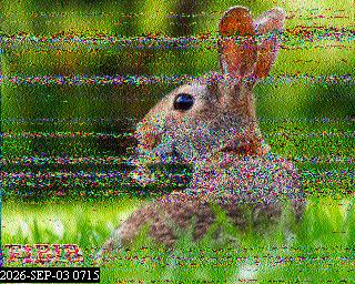 SSTV image from PA0041SWL_80M