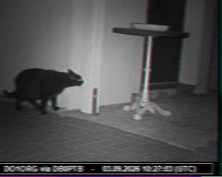 SSTV image from PC1K_2M