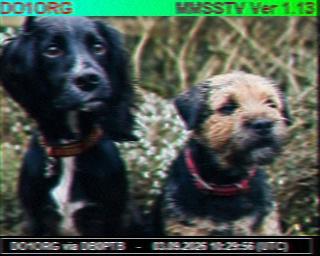 SSTV image from PC1K_2M