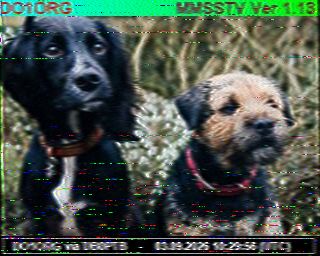 SSTV image from VK7DIK_2M
