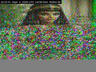 SSTV image from DC4ML_20M