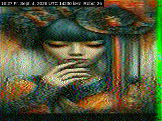 SSTV image from DC4ML_20M