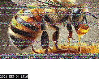 SSTV image from KP4TR_20M