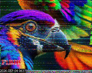 SSTV image from PA0041SWL_80M