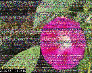 SSTV image from PA0041SWL_80M