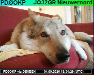 SSTV image from PC1K_2M