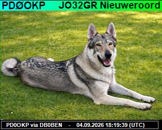 SSTV image from PI1DFT_2M