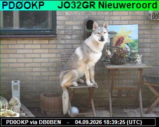SSTV image from PI1DFT_2M