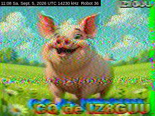 SSTV image from DC4ML_20M