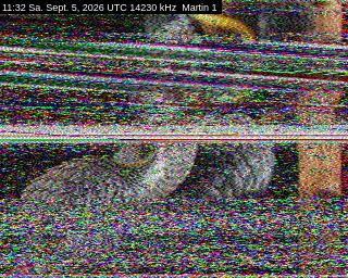 SSTV image from DC4ML_20M