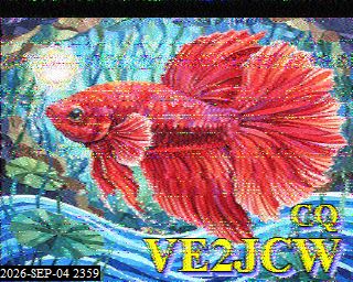 SSTV image from KP4TR_20M