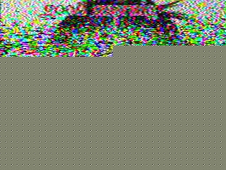 SSTV image from PA0041SWL_20M