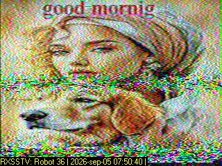 SSTV image from PA0041SWL_20M