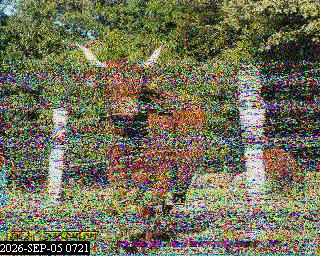 SSTV image from PA0041SWL_80M