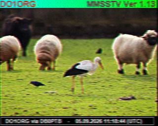SSTV image from PC1K_2M