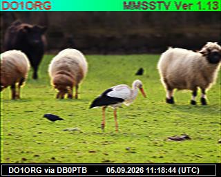 SSTV image from PI1DFT_2M