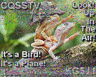 SSTV image from WF3F_20M