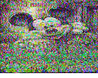 SSTV image from WF3F_20M