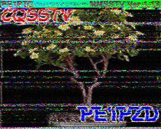 SSTV image from WF3F_20M