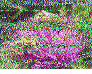 SSTV image from WF3F_20M