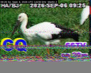 SSTV image from DC4ML_20M