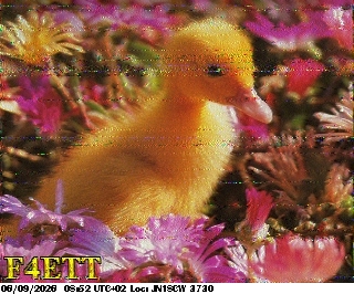 SSTV image from F4HKJ_20M
