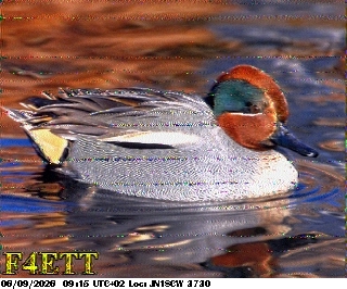 SSTV image from F4HKJ_20M