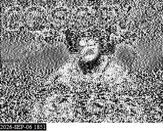 SSTV image from KP4TR_20M