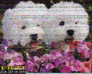 SSTV image from PA0041SWL_80M
